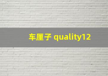 车厘子 quality12